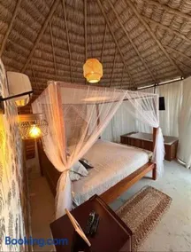 Villa kite - Image 4