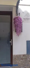 Vacanza alla Chiesa Diruta - Image 3