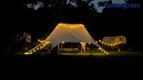 Luxury Covered Wagon, Rooterville Animal Sanctuary - Image 3