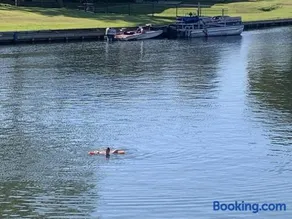 Lakeside Daze! - Image 1