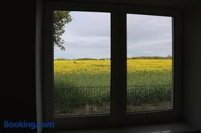 Kleines Haus am Feld - Image 4
