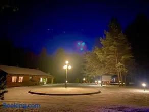 Vanago Lizdas - Image 4