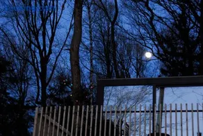 Gite des Bois de Spa - Image 3