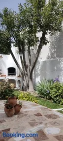 LOS SUEÑOS DE BUENDÍA - Image 3