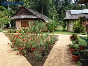 ATTA Rainforest Lodge - Image 5