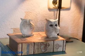 Picaza del Jerte - Image 4