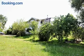 WOODEN HOUSE - Image 2