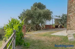 Umbrian Farmhouse Lake and Olive Grove View - Image 3