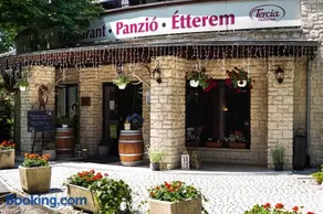 Tercia Hubertus Panzió - Image 4