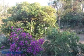 Presqu`ile de Giens - Image 3