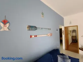 Casa - Saíra Sete Cores - Image 2