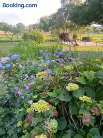 B&B Vinkeling - Image 1
