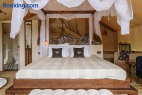 Zaluka Urban Glamping - Image 2