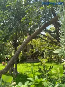 Podocarpus cottages - Image 2