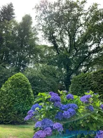 Zonnebos, private garden, fresh air, relax! - Image 5