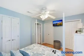 Shark Shack - Image 4
