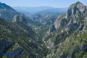 Campo - Image 3