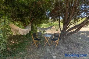 cabane des vignes - Image 4