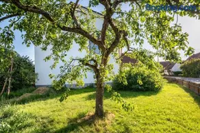 Bauernhofleben - Image 2