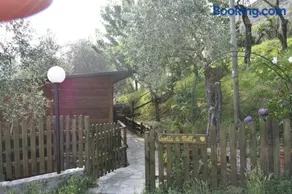 La Casetta di Molly tra ulivi e roseto - Image 1