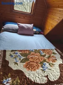 Zofiówka las ul Sporna 5a - Image 3