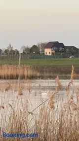 Pensiunea Egreta - Image 4