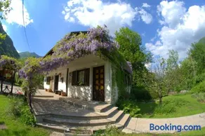 Apartma Bel - Image 1
