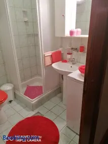 Apartmani Zute - Image 2