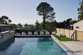 The Mook Mollymook - Image 4