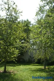 Lekehalom Tiszameer - Image 3