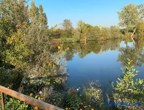 L'ile chaumette - Image 2
