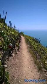 CREUZA DE 5 TERRE - Image 2