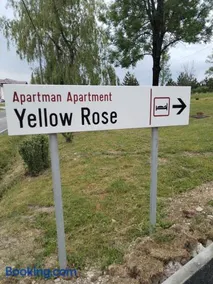 Yellow Rose - Image 4