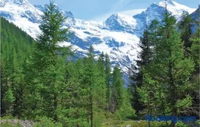 Isolina - Image 3
