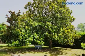 Casa Los Lomas - Image 4