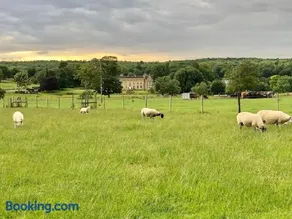 Moo Cow Cottage Self Catering - Image 5