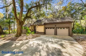 2685 Gnarled Pine - Image 2
