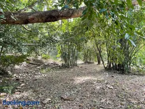 GSM Bamboo Farm RV and Caravan site - Image 5