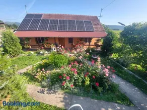 Casa de vacanta in Tara Fagarasului - Image 2