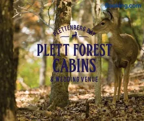 Plett Forest Cabins - Image 3
