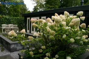 B&B Gaasterland - Image 2