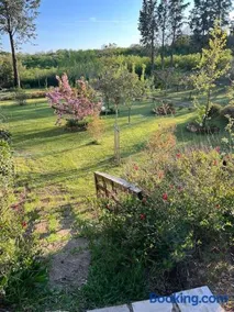 La Casa Dei Fiori - Image 3