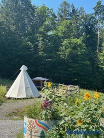 Tipi-Glamping am Gut Kunterbunt - Image 3