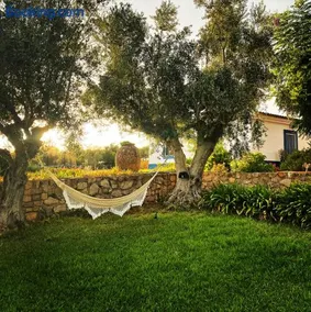 Casa de Campo, Quinta do Funchal - Image 3