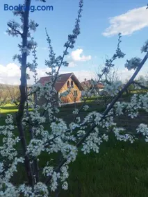 Livada Bunicilor - Image 3