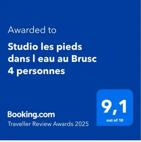 Studio les pieds dans l eau au Brusc 4 personnes - Image 1