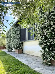 VillAmato Casa Vacanze ULIVO - Image 5