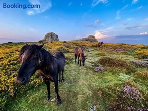 Haytor Court, Haytor, Dartmoor - The Moor on Your Doorstep - Image 3