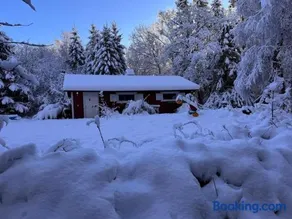 Little Pinecone Lodge a Cozy Forest Retreat - Image 5