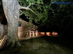 La bambouseraie de sulauze - Image 3